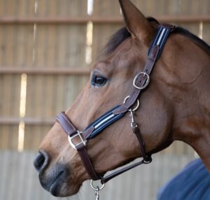 Almartigón Antarès-Stressless-